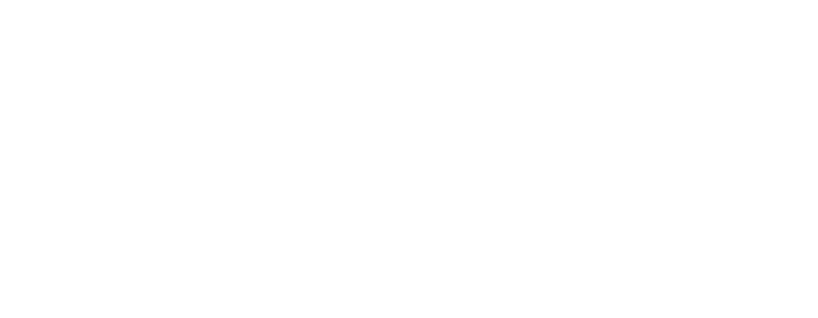 Sierra Surgical Repair